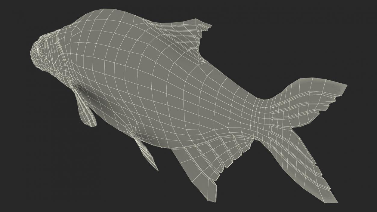 Silver Bream Fish Rigged 3D model