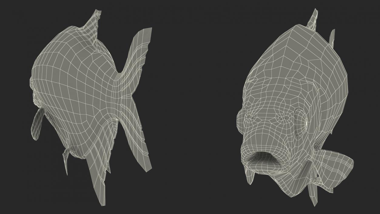 Silver Bream Fish Rigged 3D model