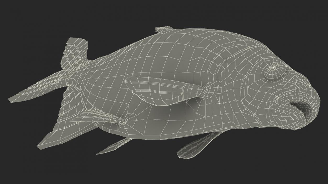 Silver Bream Fish Rigged 3D model