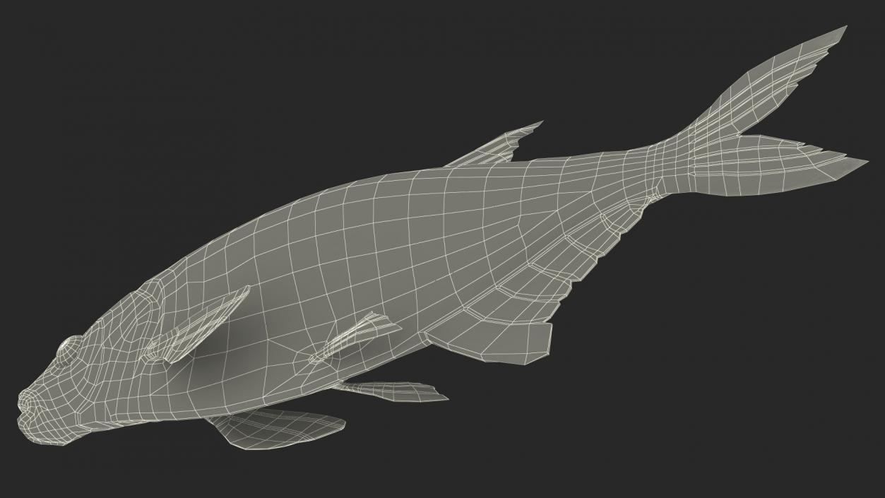 Silver Bream Fish Rigged 3D model