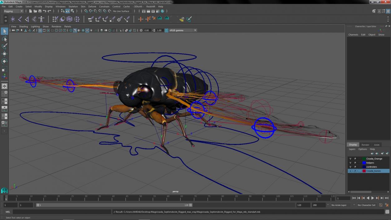 3D Magicicada Septendecim Rigged for Maya model