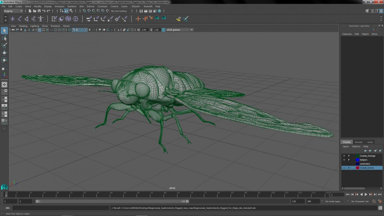 3D Magicicada Septendecim Rigged for Maya model