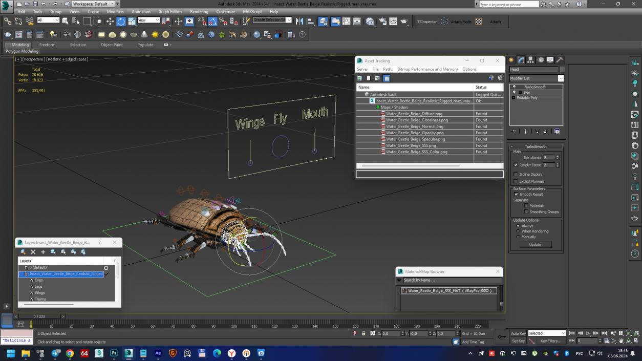 3D Insect Water Beetle Beige Realistic Rigged for Maya