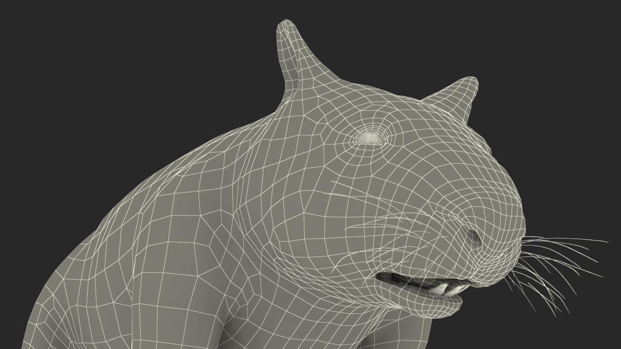 3D Common Wombat Brown Fur model