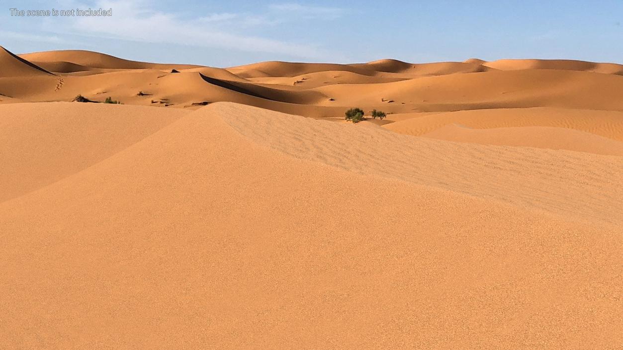 Sand Dune 3D model