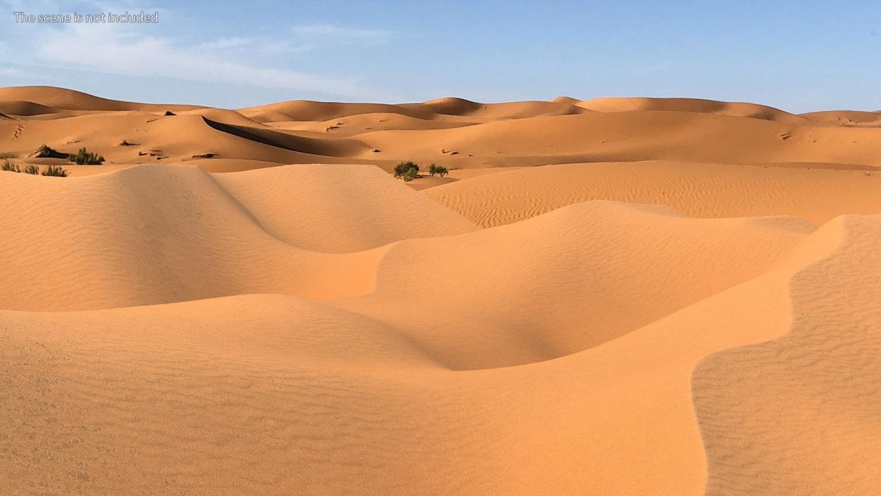 Sand Dune 3D model