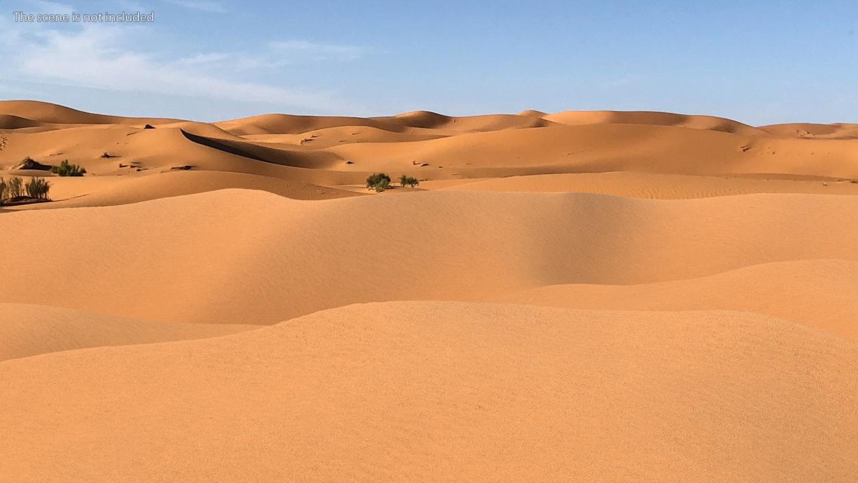 Sand Dune 3D model