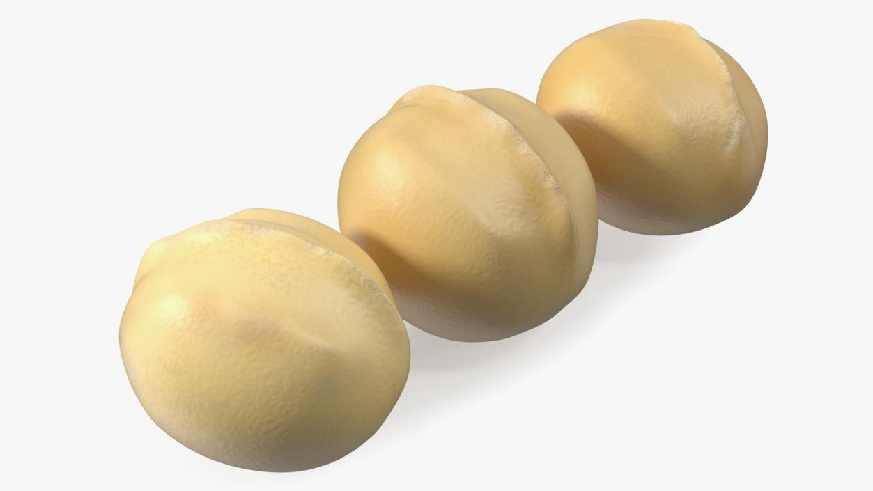 3D Peeled Macadamia Nuts