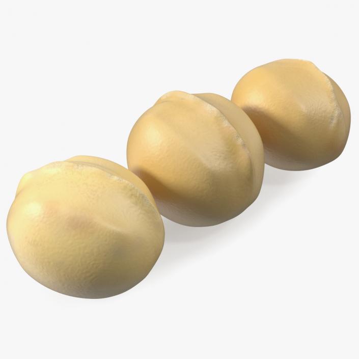 3D Peeled Macadamia Nuts