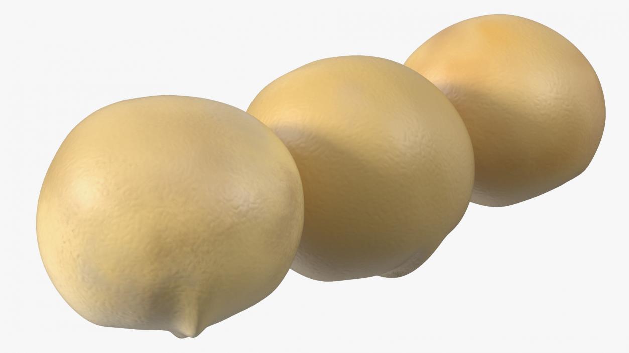 3D Peeled Macadamia Nuts