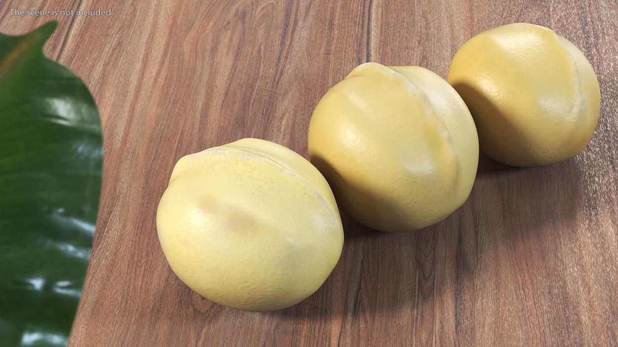 3D Peeled Macadamia Nuts