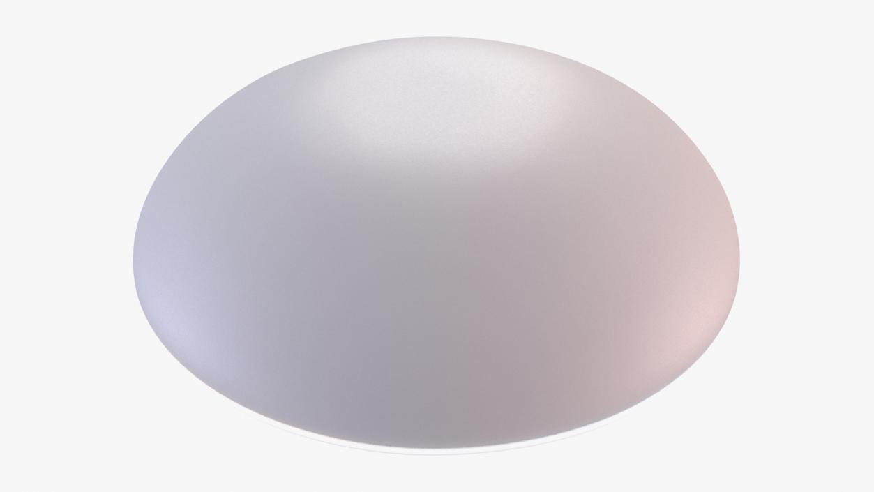 Moderate Textured Female Breast Implant 3D model