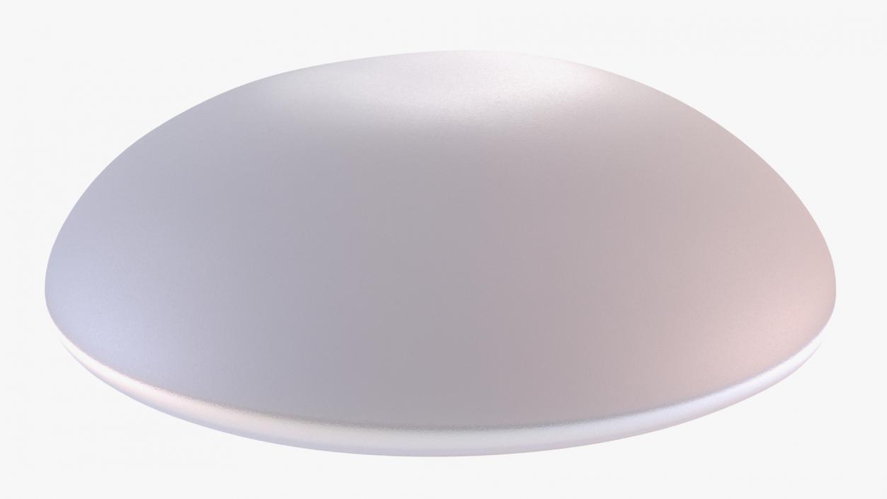 Moderate Textured Female Breast Implant 3D model