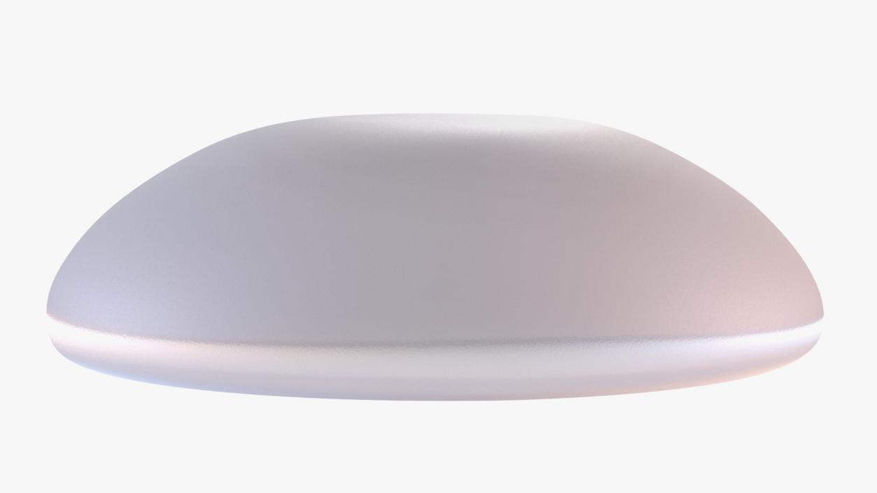 Moderate Textured Female Breast Implant 3D model