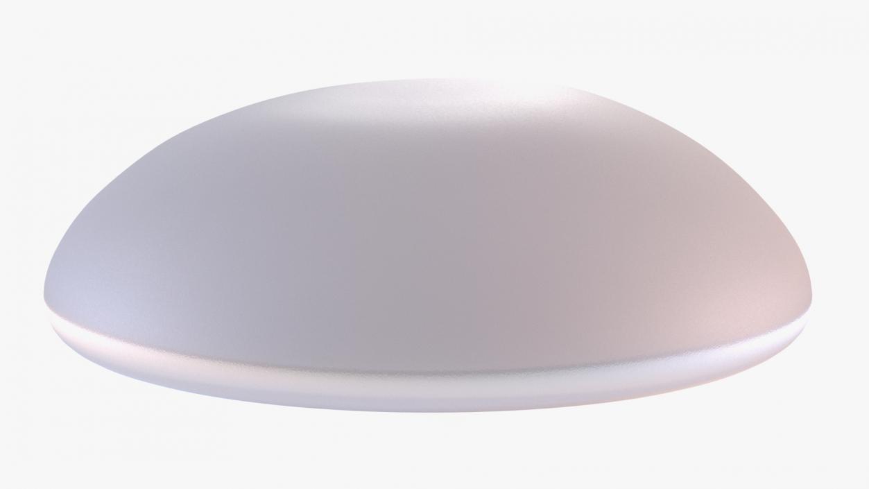 Moderate Textured Female Breast Implant 3D model