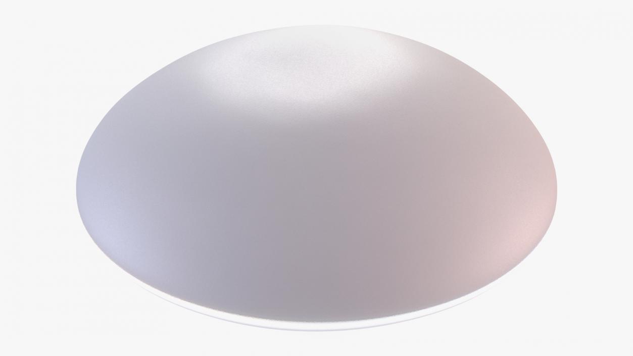 Moderate Textured Female Breast Implant 3D model