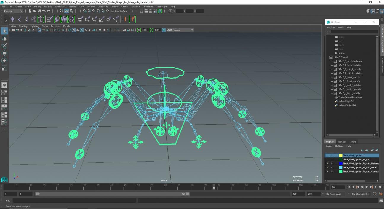 3D Black Wolf Spider Rigged for Maya model