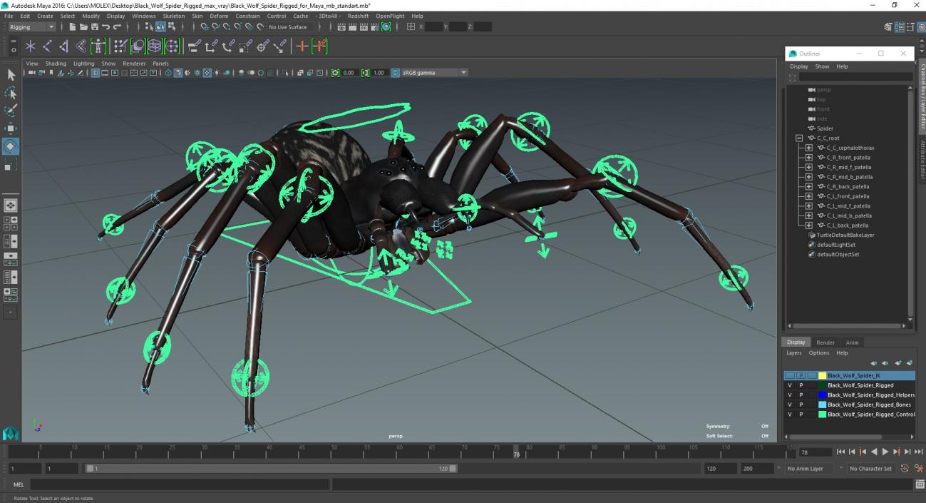 3D Black Wolf Spider Rigged for Maya model