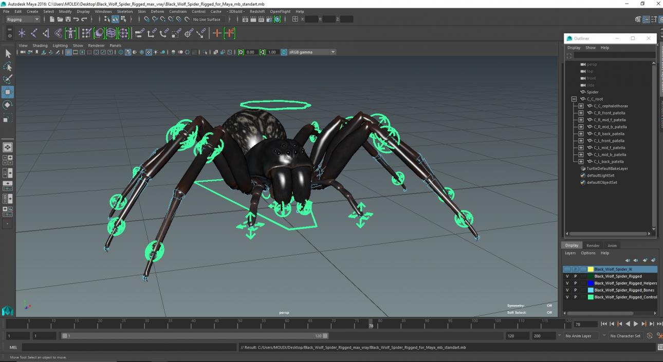 3D Black Wolf Spider Rigged for Maya model