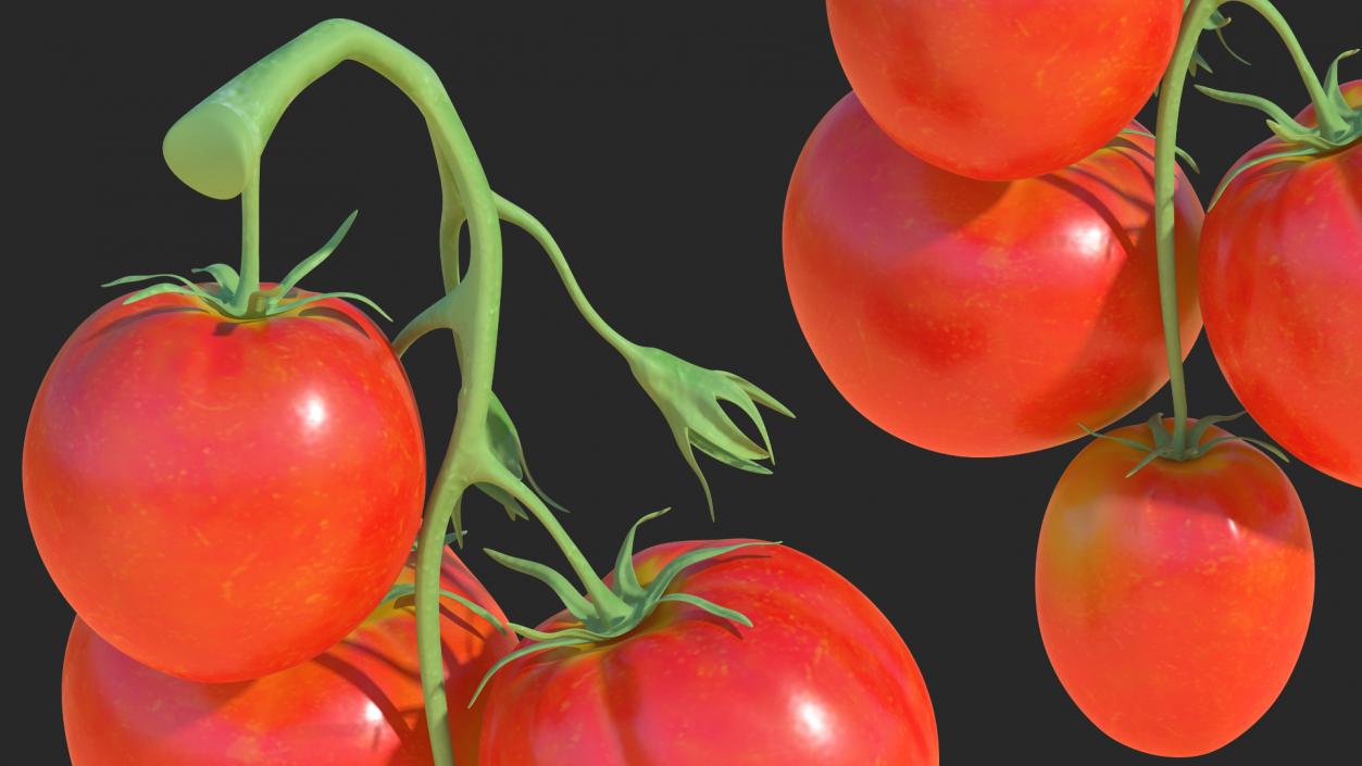 Bunch of Tomatoes 3D