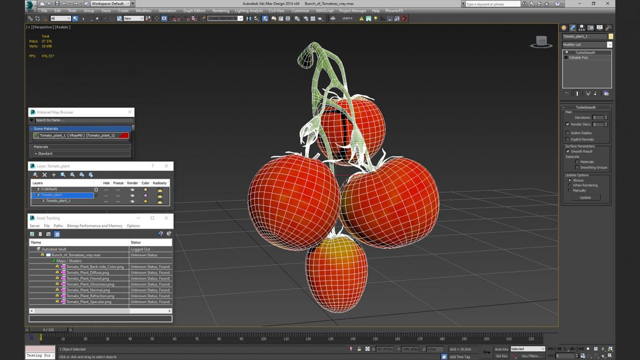 Bunch of Tomatoes 3D