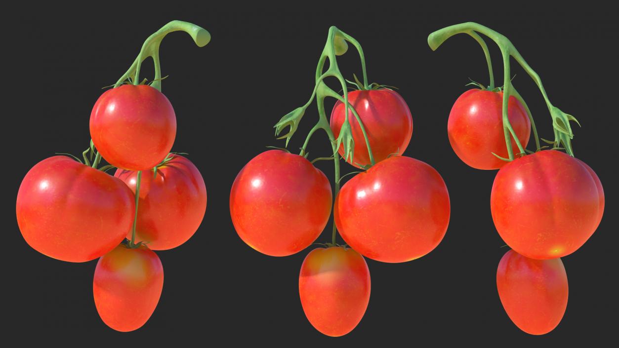 Bunch of Tomatoes 3D