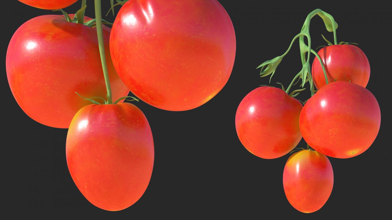 Bunch of Tomatoes 3D