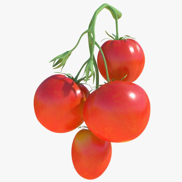 Bunch of Tomatoes 3D