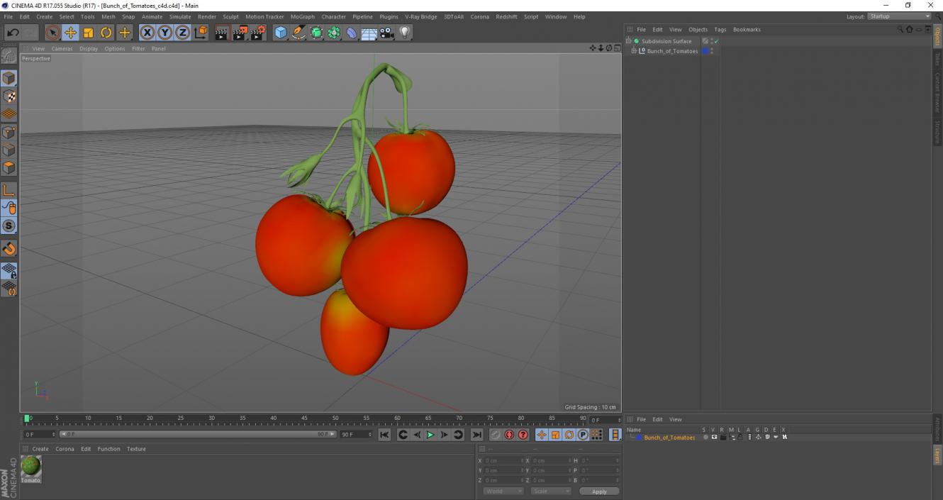 Bunch of Tomatoes 3D