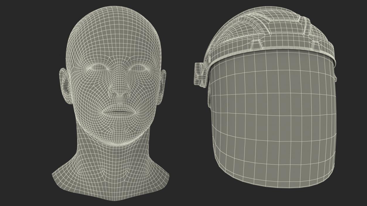 Transparent Visor Face Shield 3D model