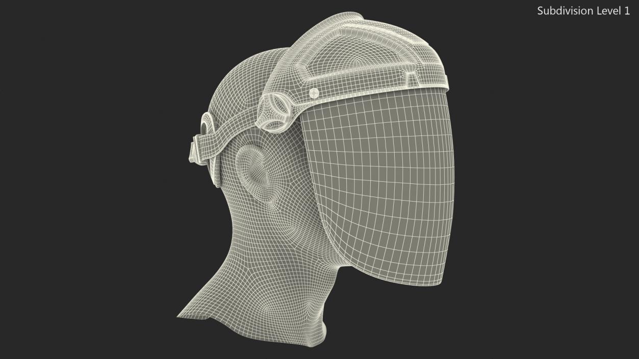 Transparent Visor Face Shield 3D model