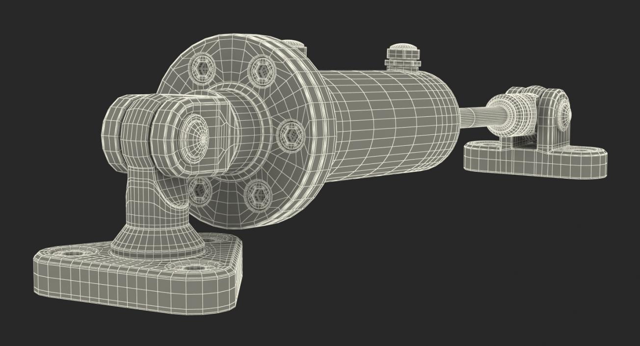 Anodized Hydraulic Cylinder 2 3D model