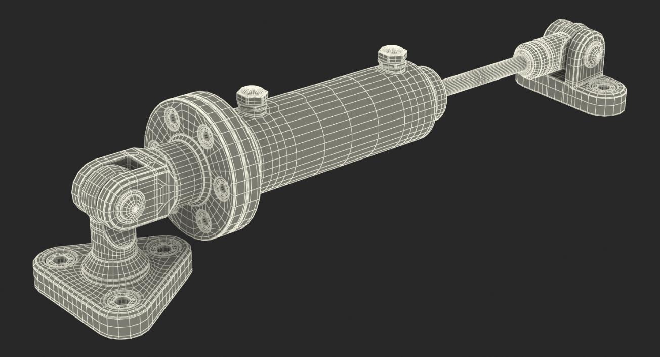 Anodized Hydraulic Cylinder 2 3D model