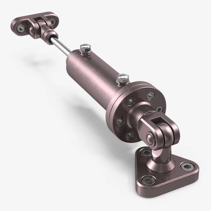 Anodized Hydraulic Cylinder 2 3D model