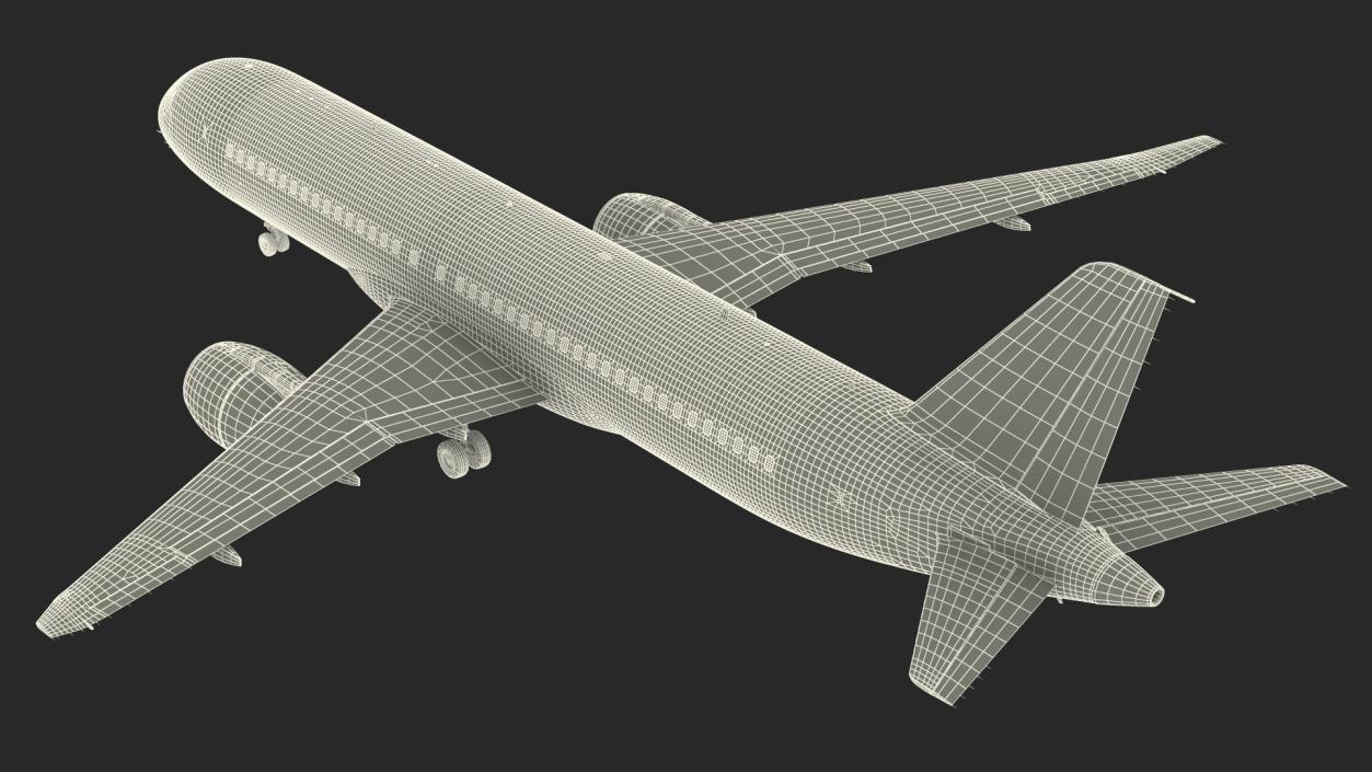 Narrow Body Airliner Rigged 3D