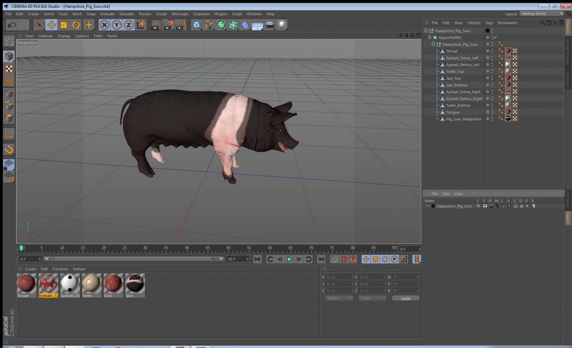 Hampshire Pig Sow 3D