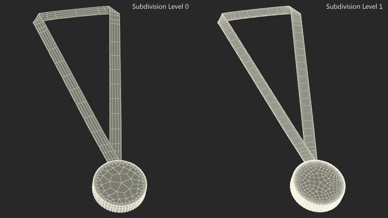 3D model Olympic Silver Medal 2024