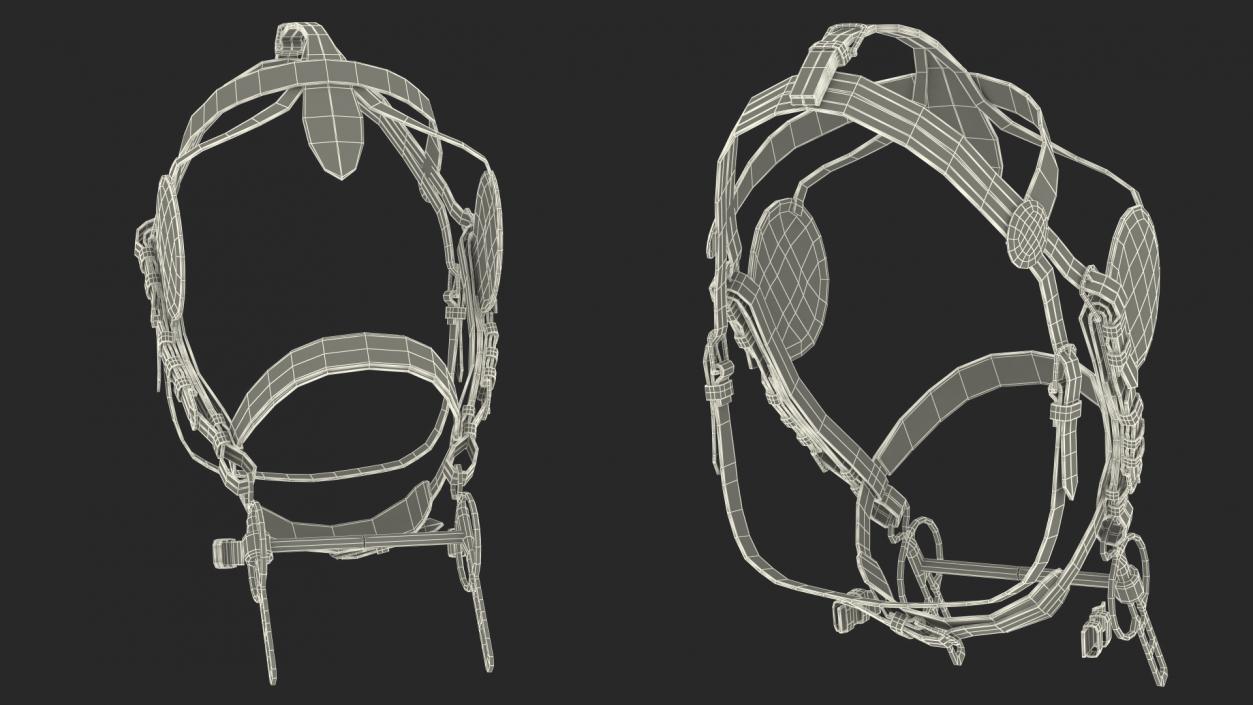 3D Horse Head Harness model