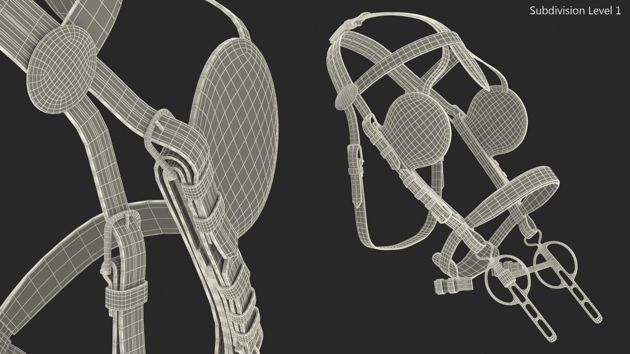 3D Horse Head Harness model