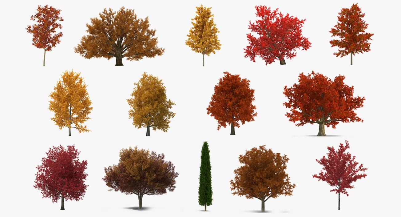 3D model Autumn Trees Collection 3