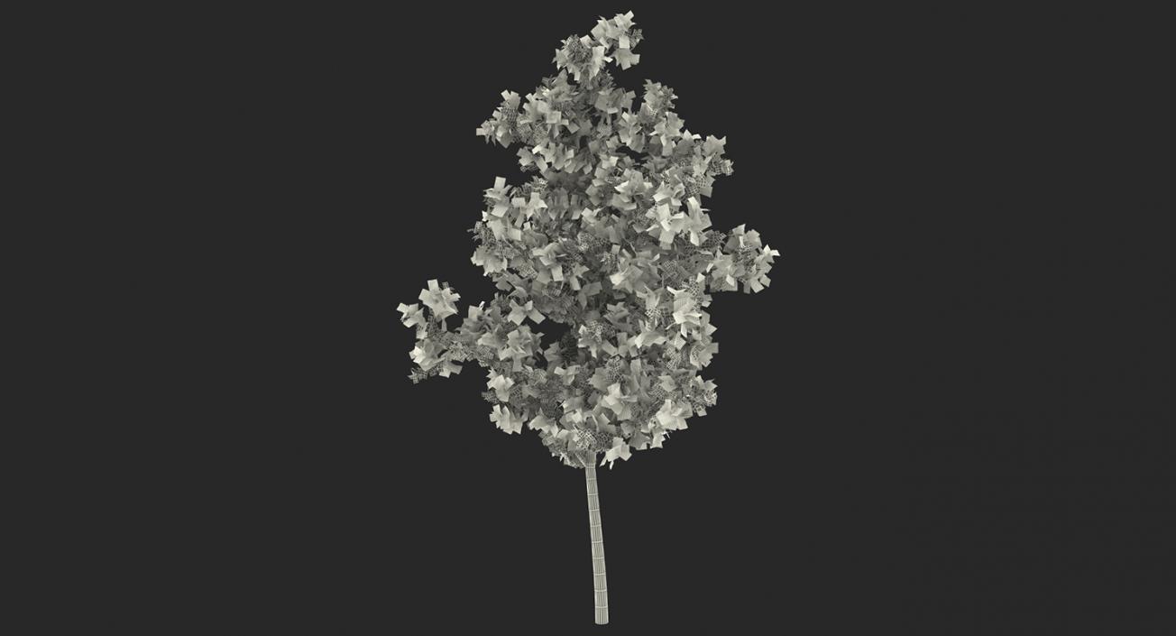 3D model Autumn Trees Collection 3