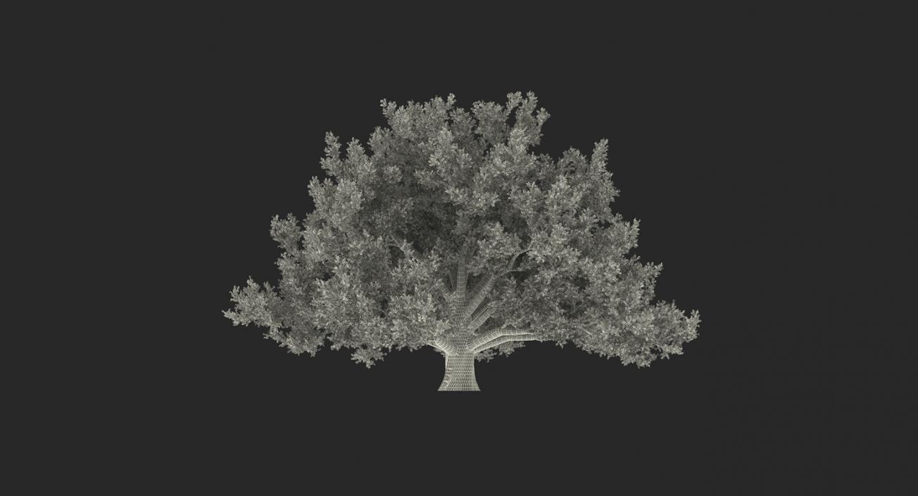 3D model Autumn Trees Collection 3