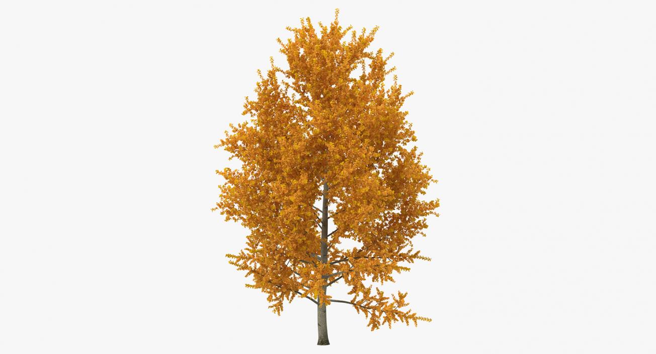 3D model Autumn Trees Collection 3