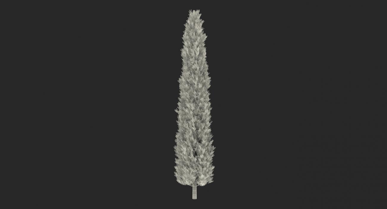 3D model Autumn Trees Collection 3