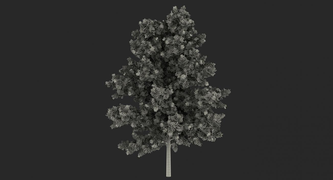 3D model Autumn Trees Collection 3