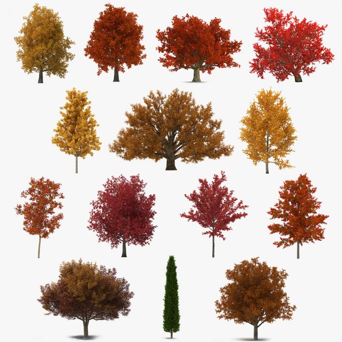 3D model Autumn Trees Collection 3