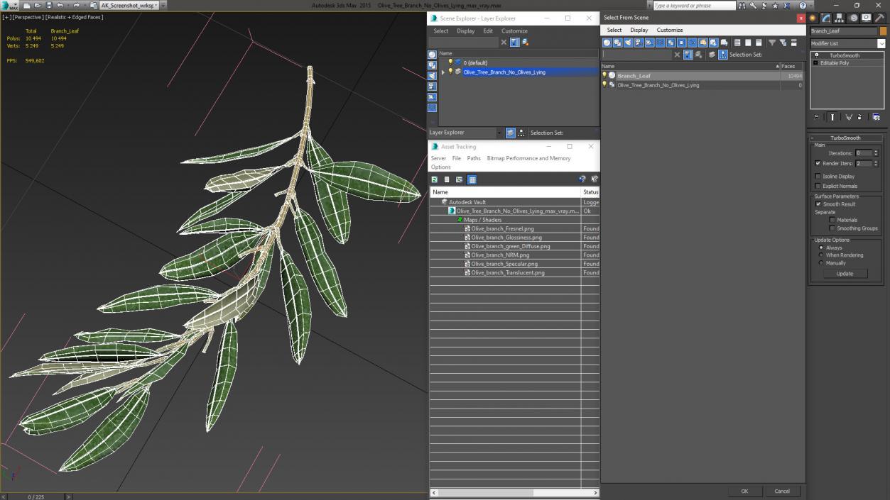 3D Olive Tree Branch No Olives Lying model