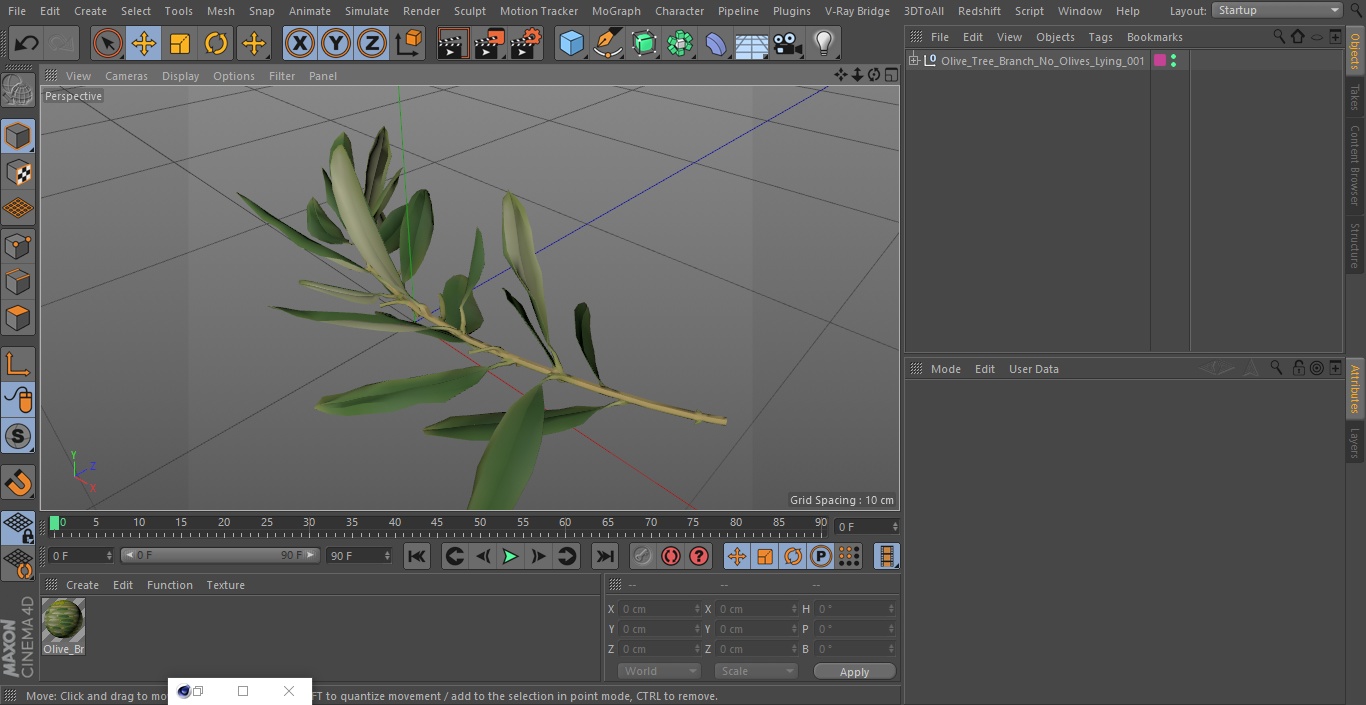 3D Olive Tree Branch No Olives Lying model