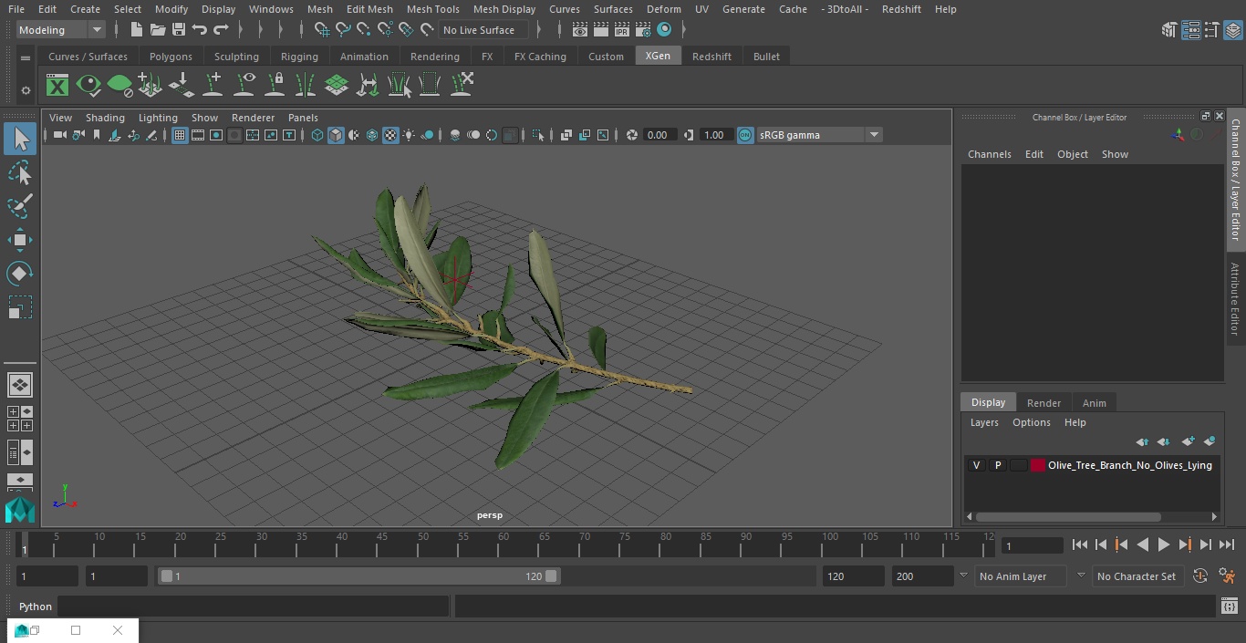 3D Olive Tree Branch No Olives Lying model