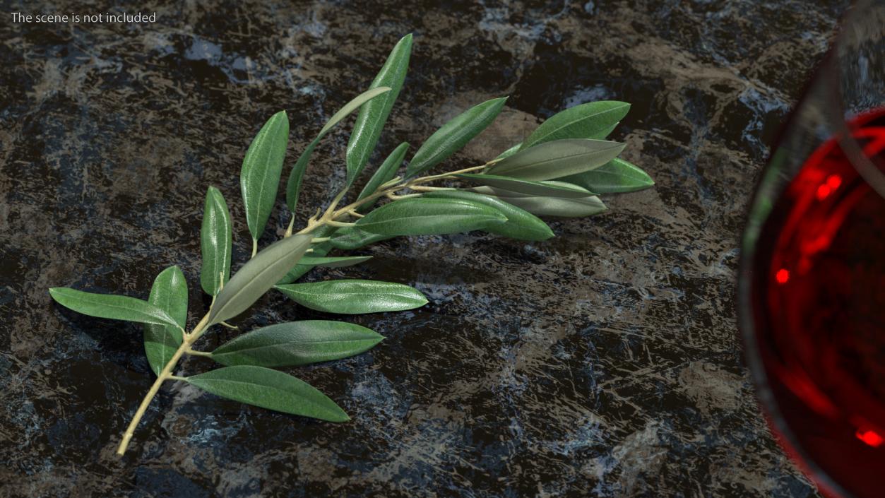 3D Olive Tree Branch No Olives Lying model